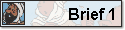 Brief 1