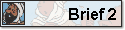 Brief 2